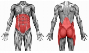 Core muscles